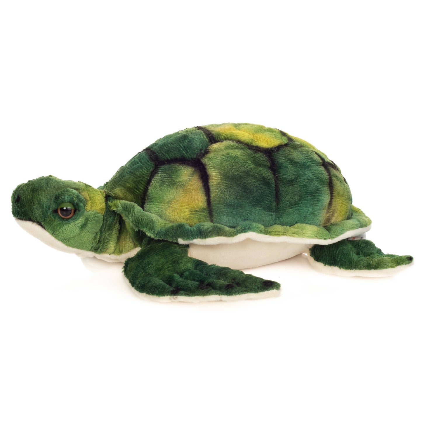 Peluche Tortue d'eau