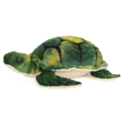 Peluche Tortue d'eau