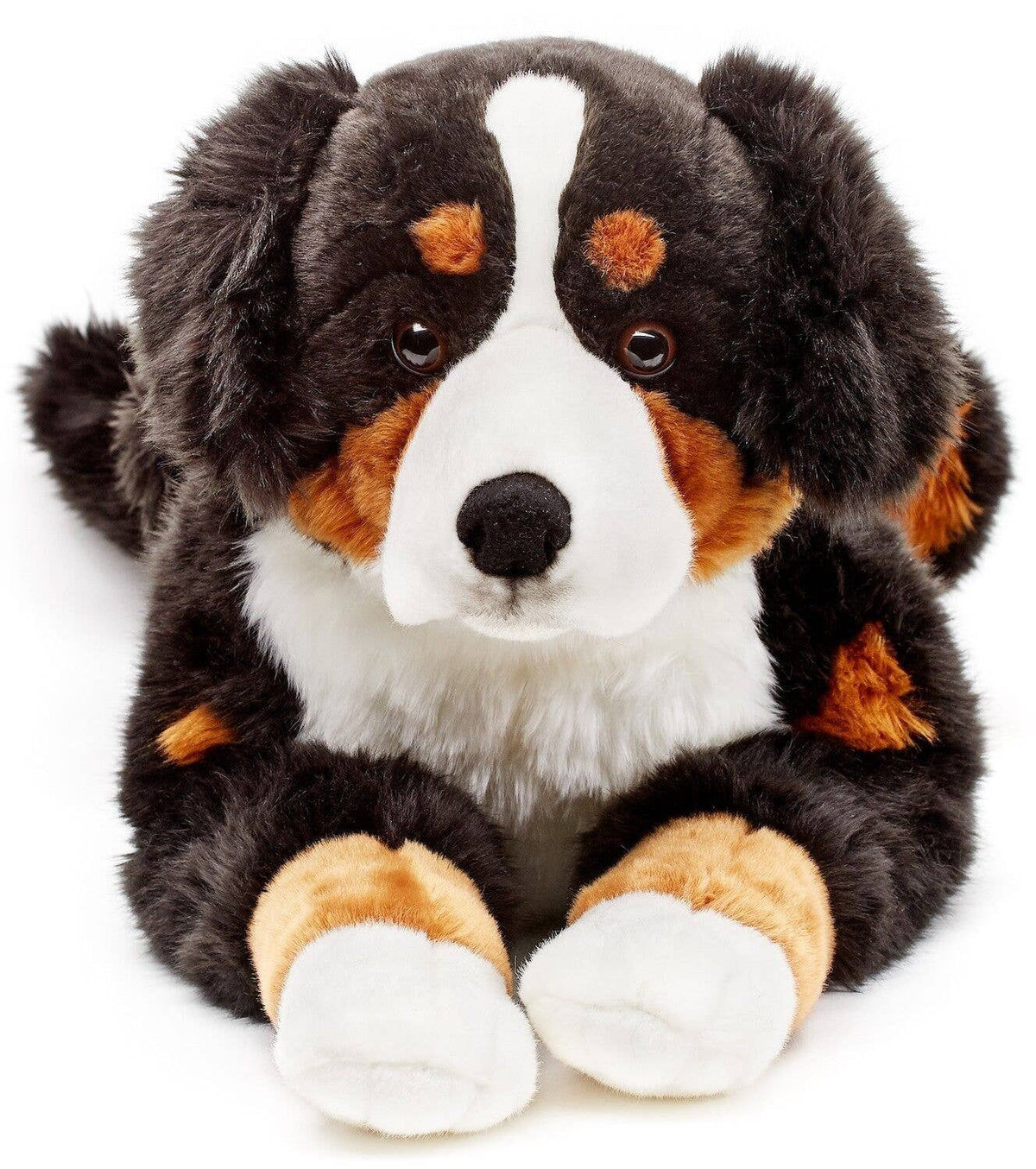 Peluche chien de montagne bernois, couché, 70 cm (longueur)
