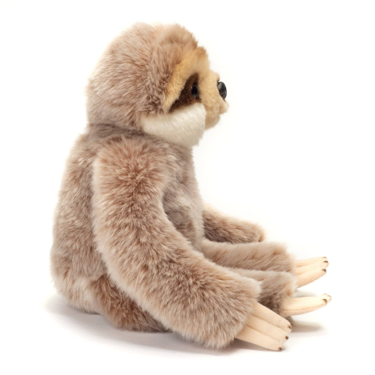Sloth Plush Toy