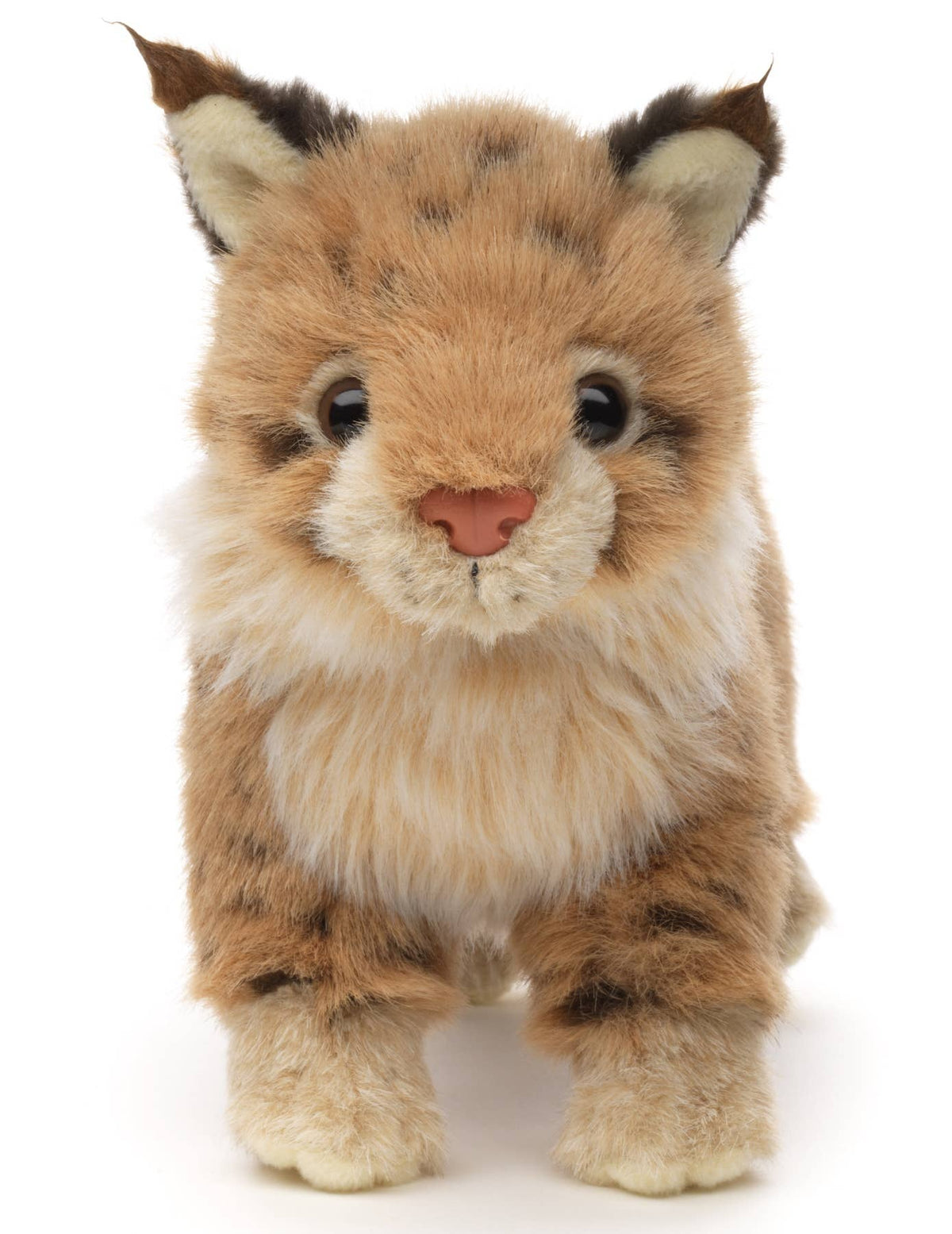 Jeune lynx debout - 24 cm (longueur) - peluche
