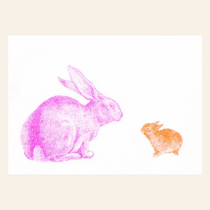 Rabbit Postcard