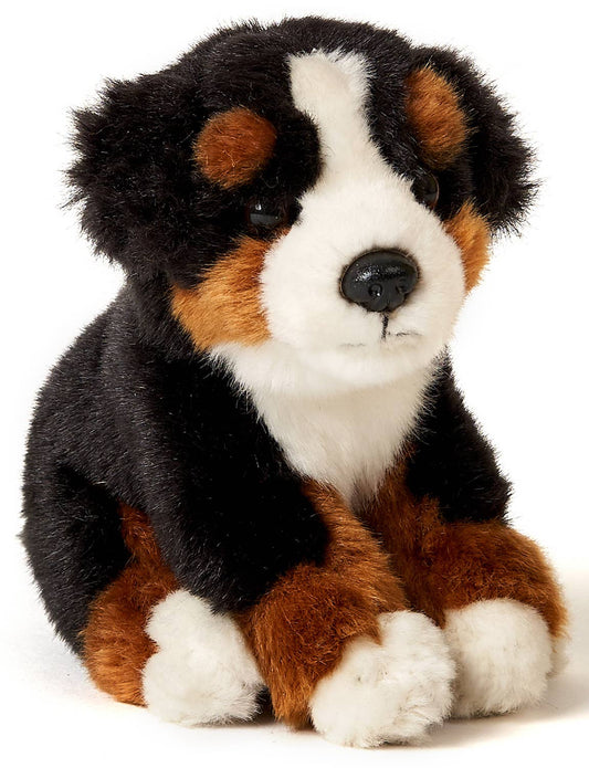 Plush Bernese Mountain Dog Puppy, sitting