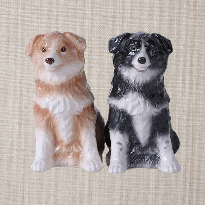 Sel et poivre Border Collies