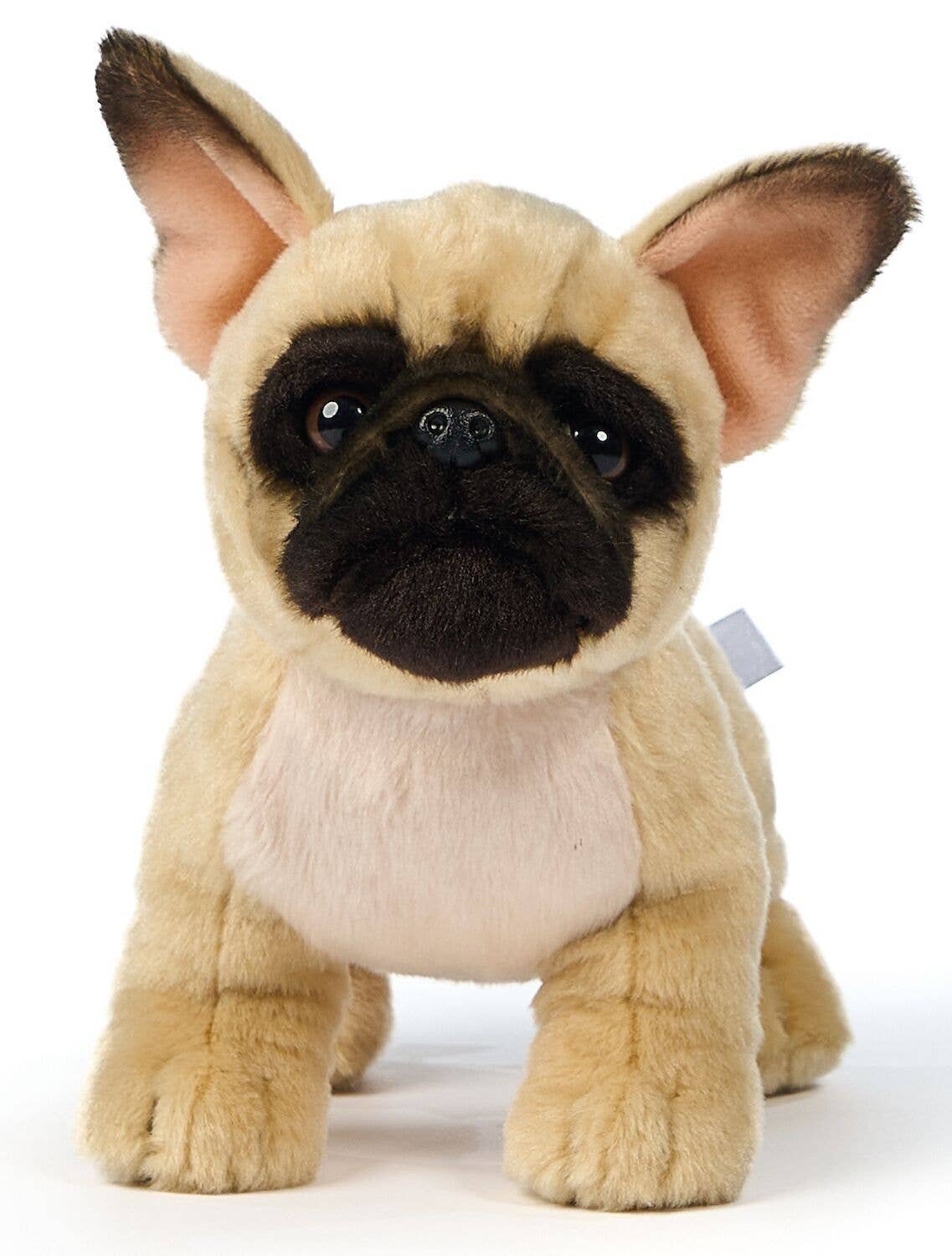 Peluche Bouledogue Français (Beige) - Sans Laisse - 26 cm (Longueur)