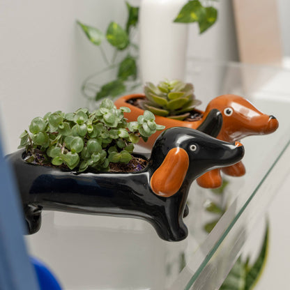 Vase Teckel Noir Helio Ferretti Vue 1