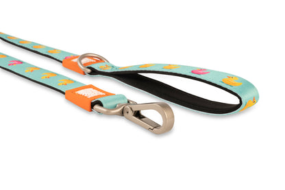 Laisse Courte – Canards