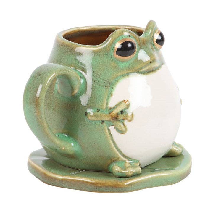 Mug 3D Grenouille et Soucoupe Nénuphar
