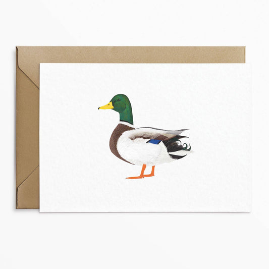 Carte de vœux Canard Colvert