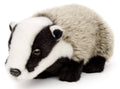 Peluche Blaireau Debout