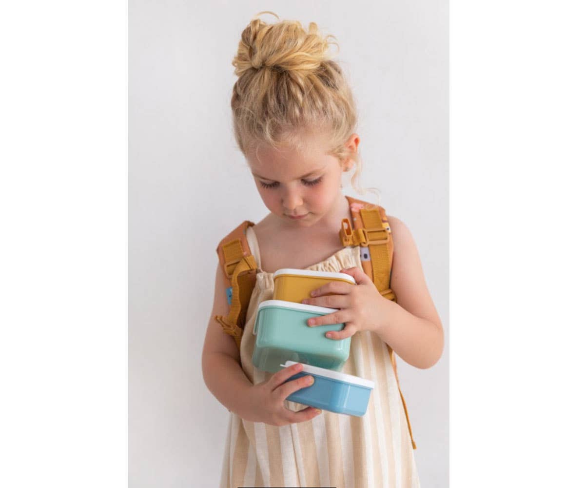 3 boites dejeuner animal friends