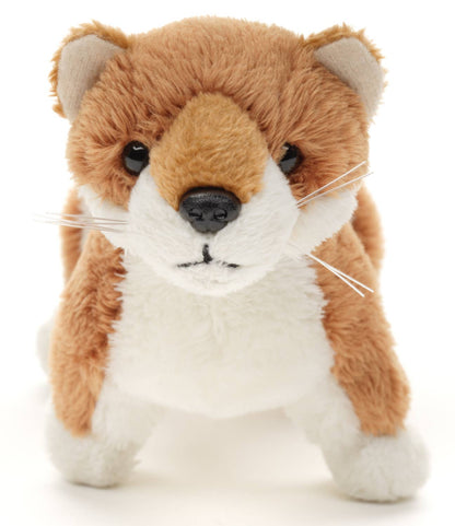 Pluche wezel - 22 cm (lengte) - knuffel/pluche