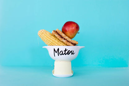 bol breton matou pied de poule