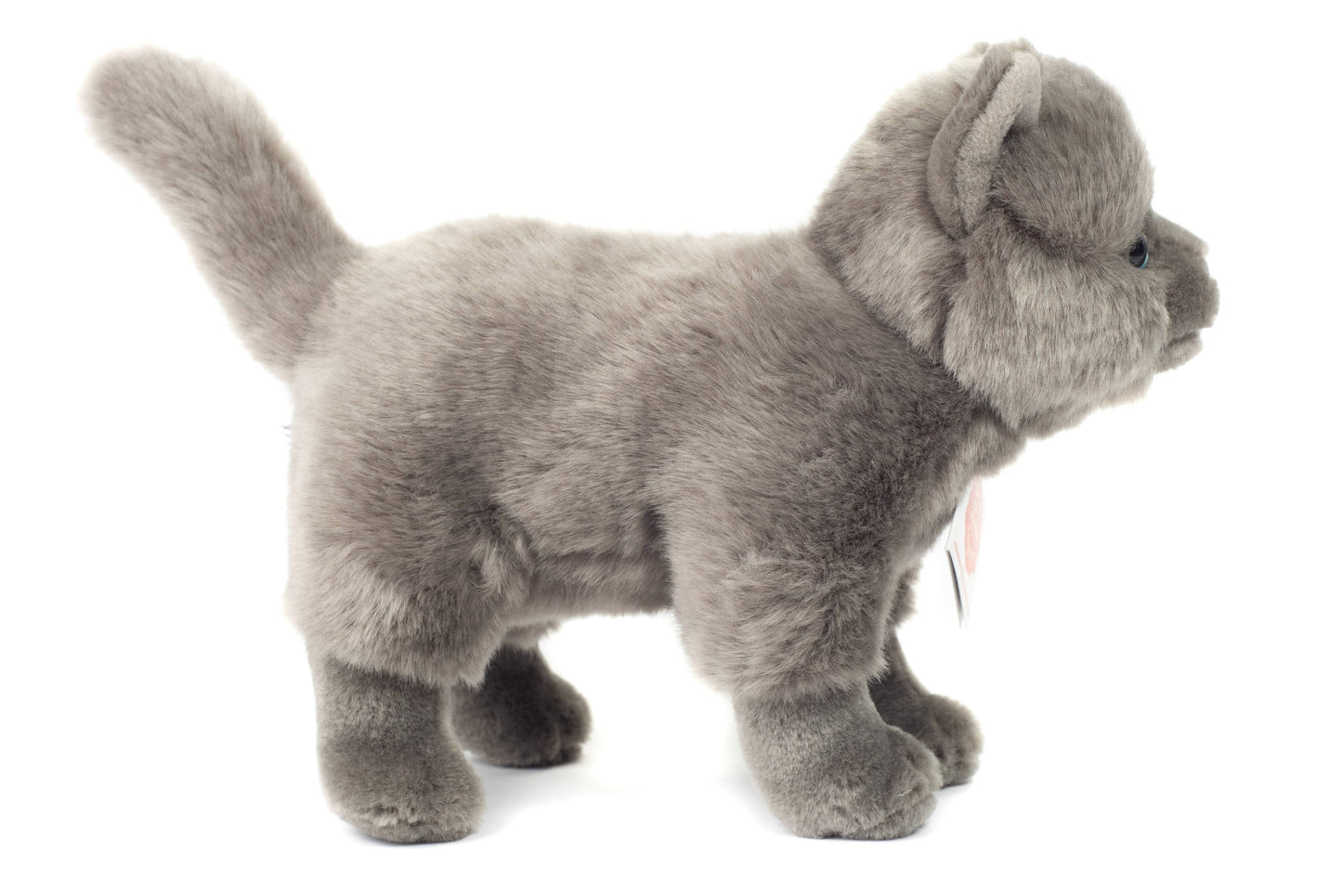 Peluche Chat chartreux debout