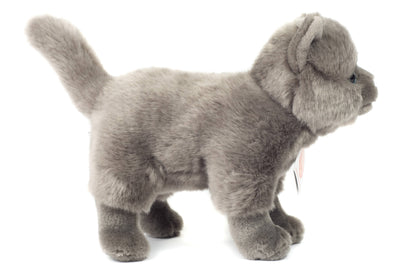 Peluche Chat chartreux debout