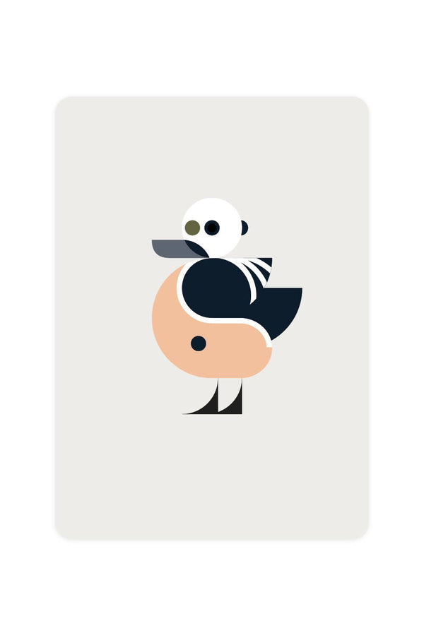 Ansichtkaart met een eider van Stellers