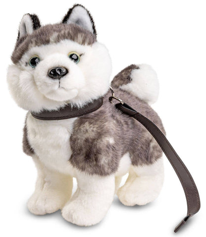 Peluche Chiot Husky avec Laisse