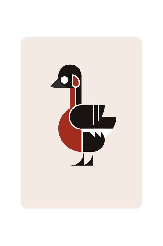 Red-breasted Goose Postcard