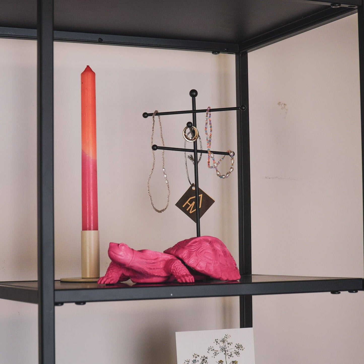 Boîte Tortue - Rose Néon