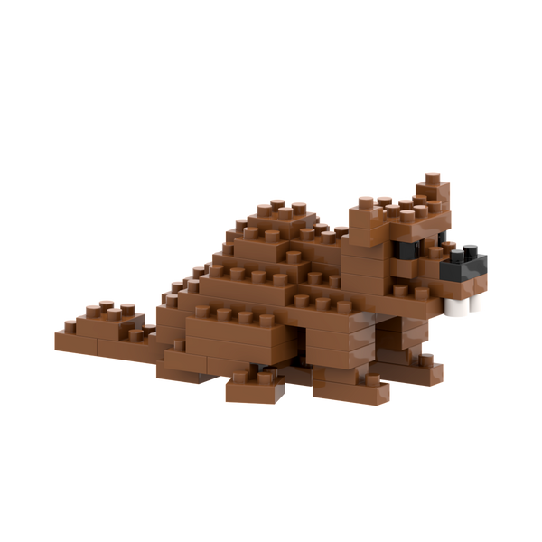 BRIXIES Castor