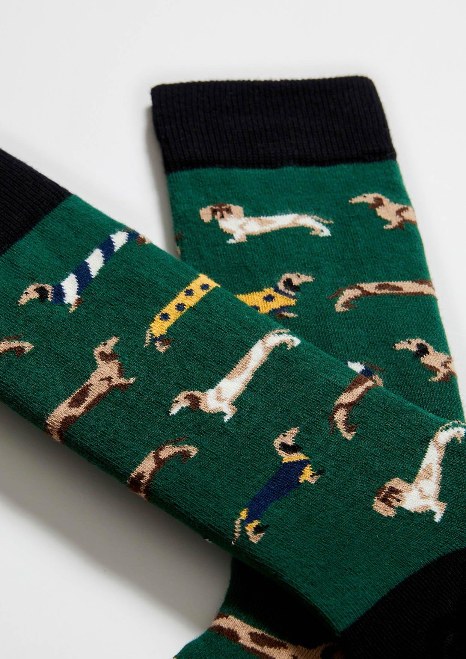 Chaussettes BePets Teckels Vert