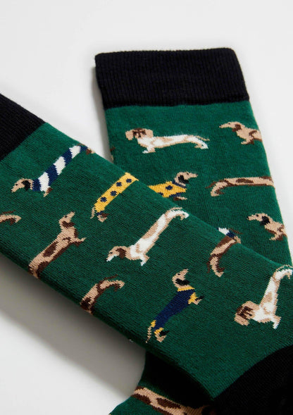 Chaussettes BePets Teckels Vert