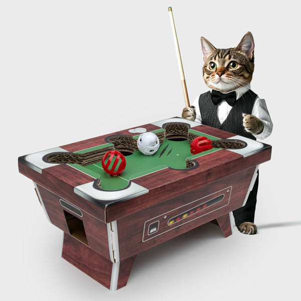 Pool Table Cat Toy