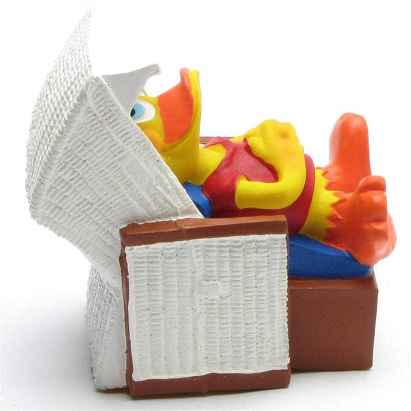 Strandstoel met eend