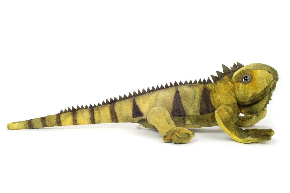 Iguana Plush – 49 cm