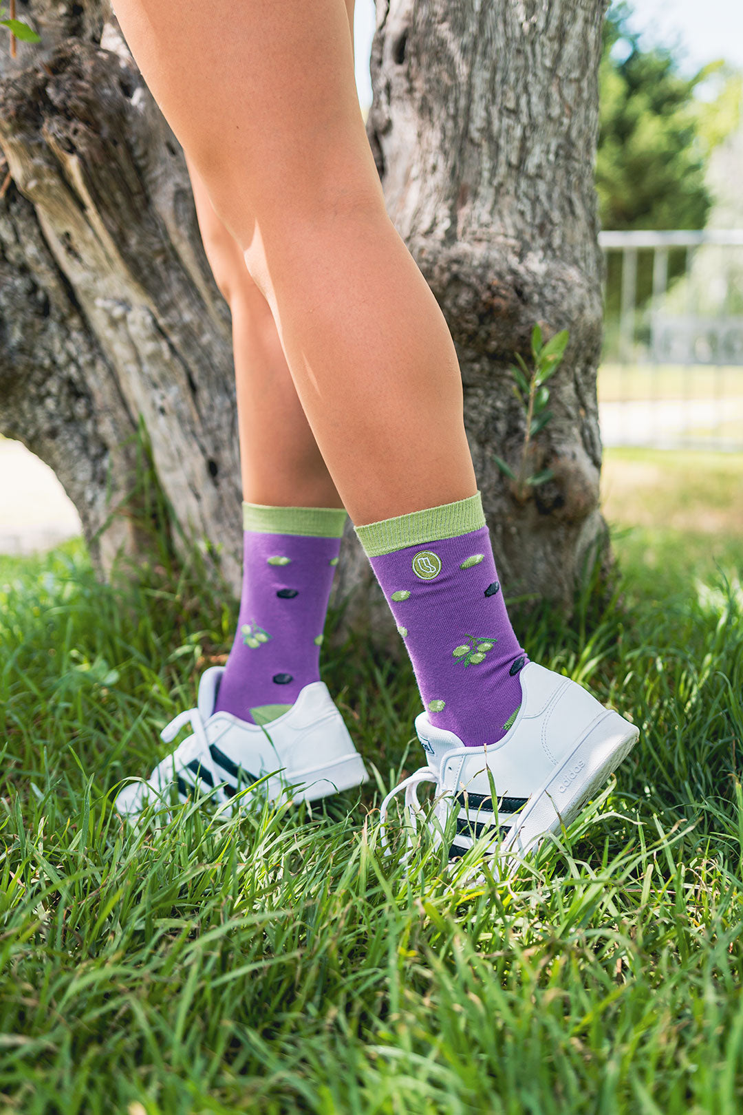 Chaussettes « Olives »
