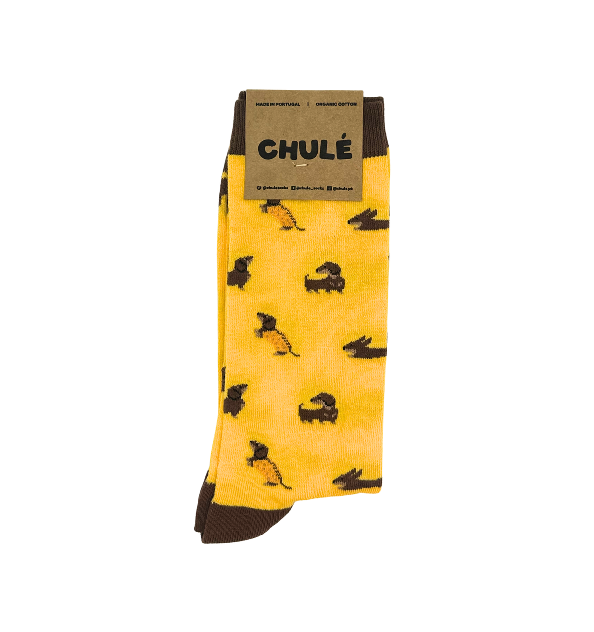 Chaussettes « Kiko – Chien Teckel »