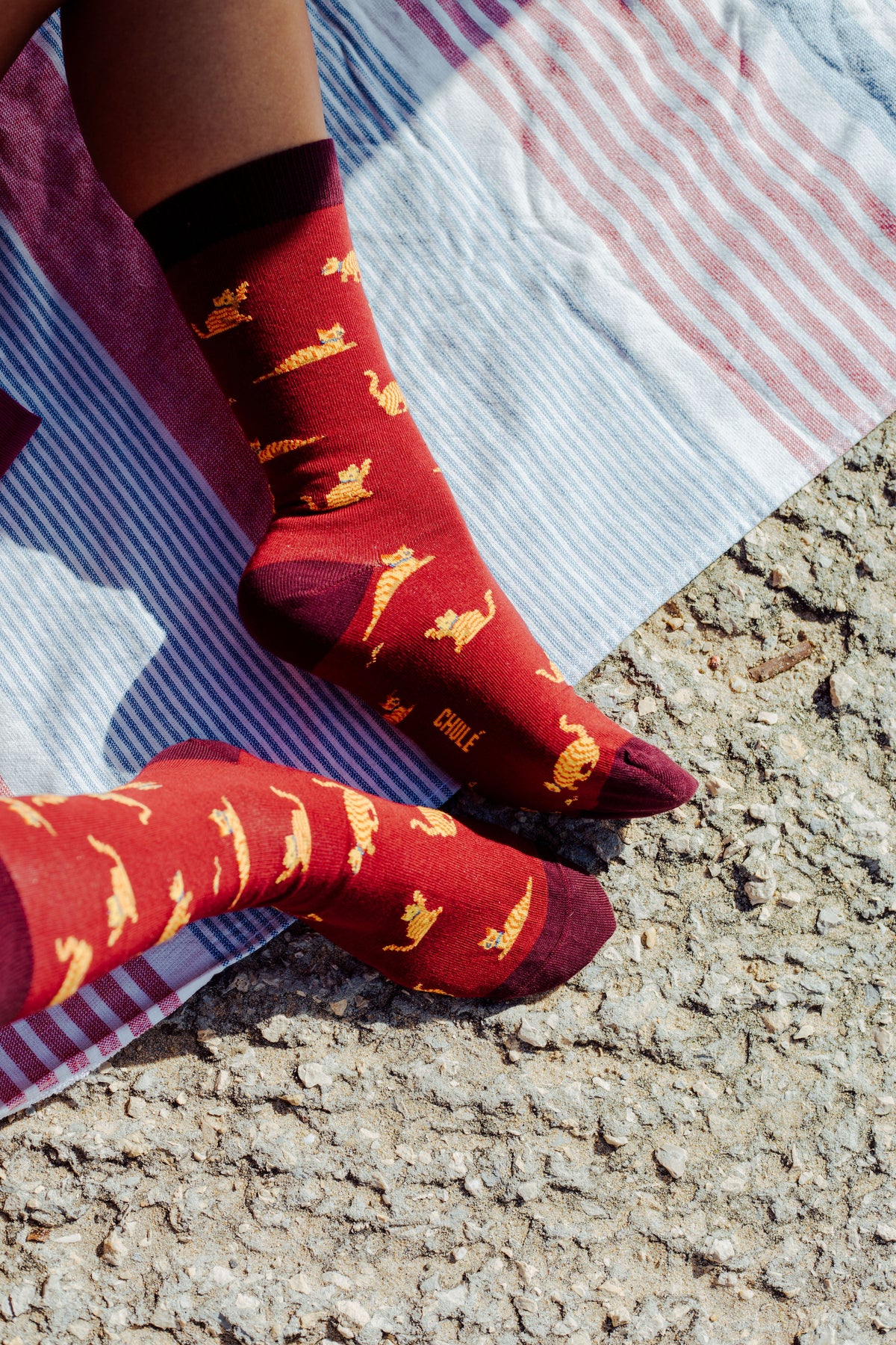 Chaussettes « Beco – Chat »