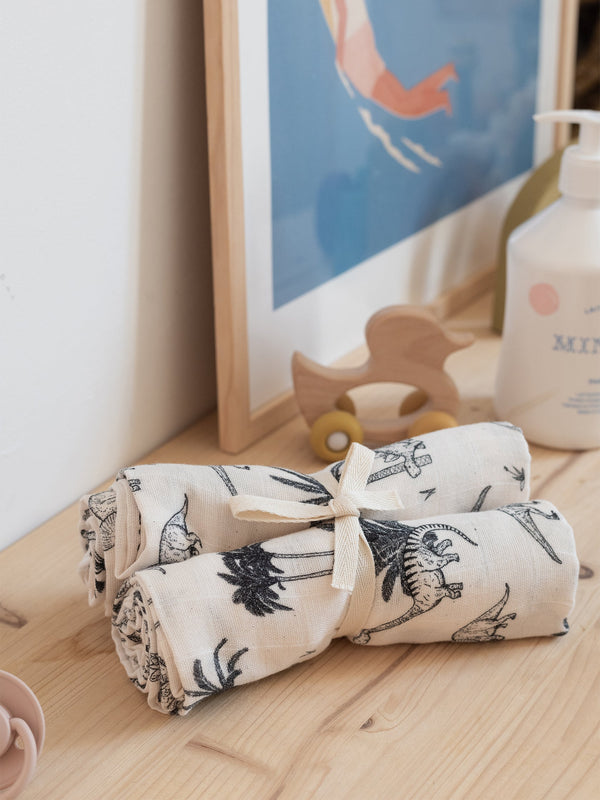 Set of 2 swaddles - GASPARD