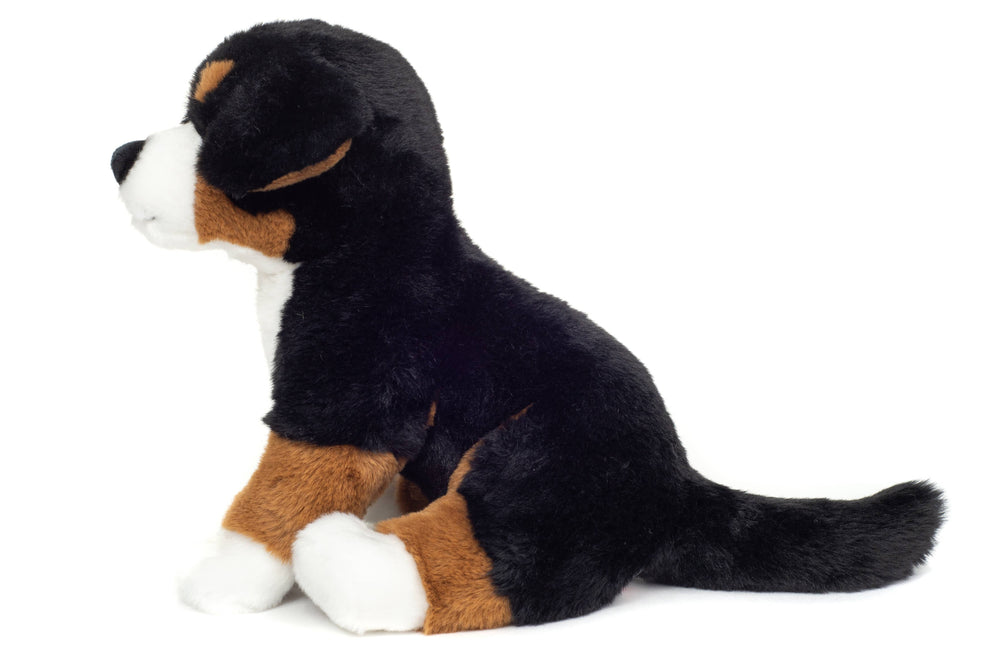Peluche Bouvier Bernois Assis – 26 cm