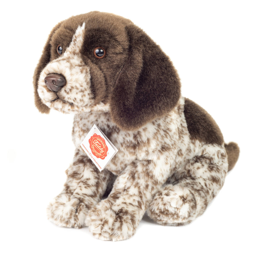 German Shorthaired Pointer