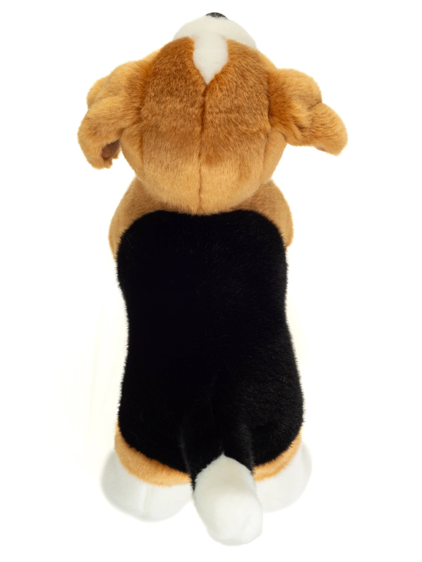 Peluche Beagle debout