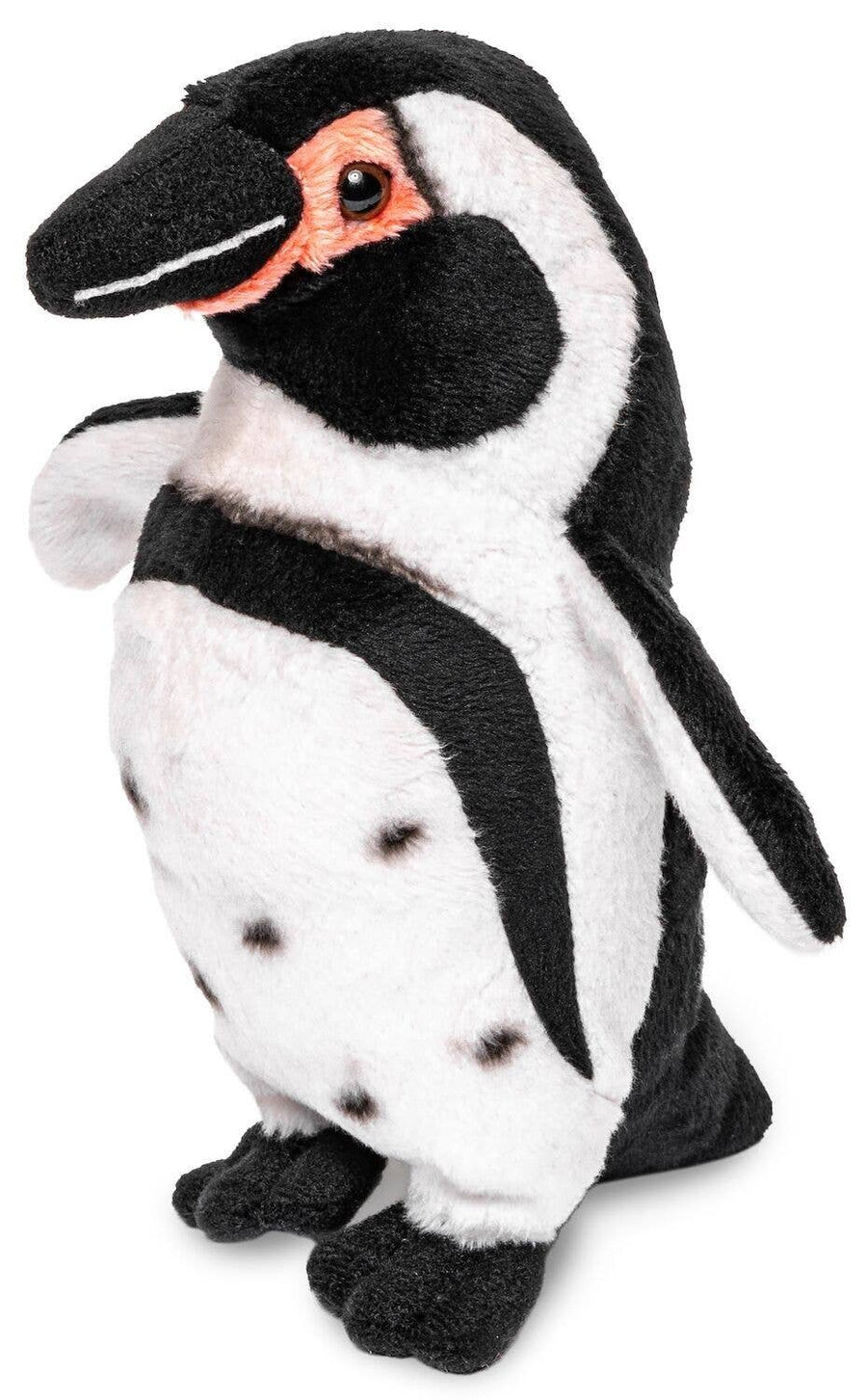 Humboldt penguin