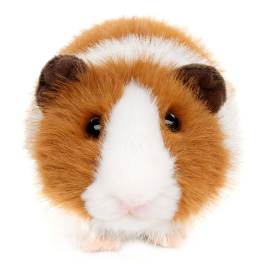 Guinea Pig Plush Toy (brown)