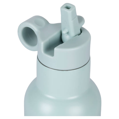 Lion Water Bottle 420ml