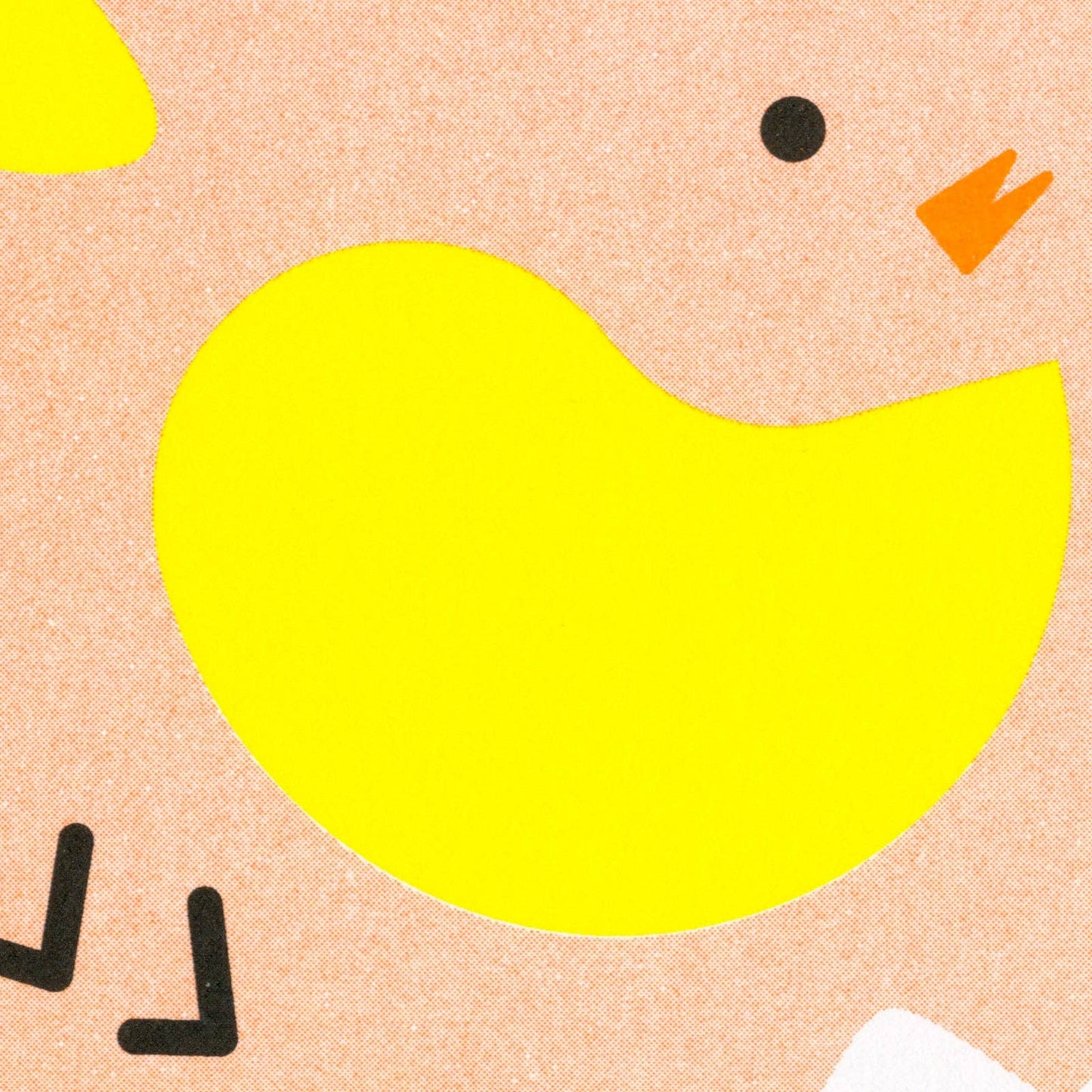 Carte postale Poussin Destructuré