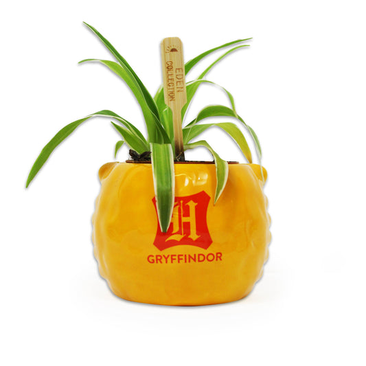 Harry Potter Flower Pot - Gryffindor House