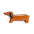 Vase Teckel Marron