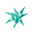 Étoile Polaire Verte Coussin