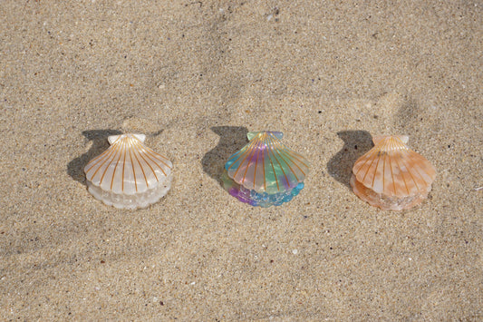 Barrette en forme de coquillage Aventurine