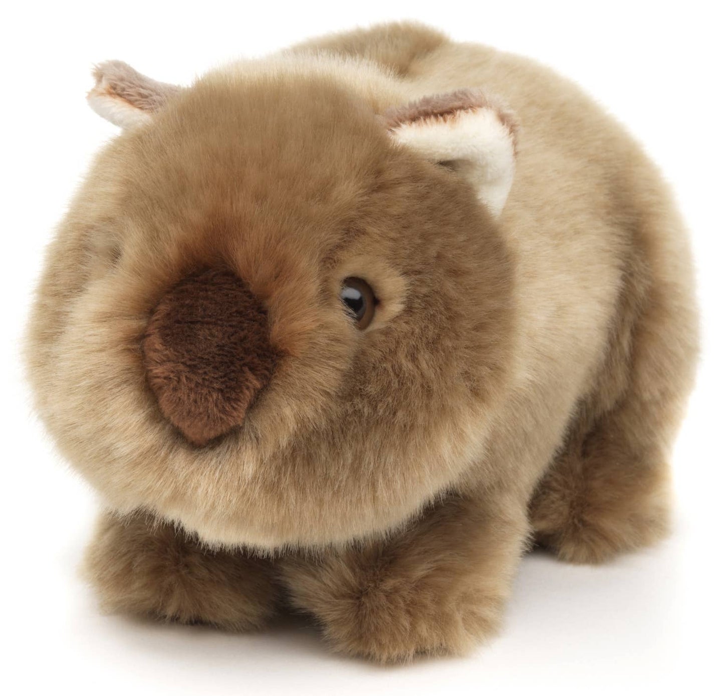 Pluche wombat