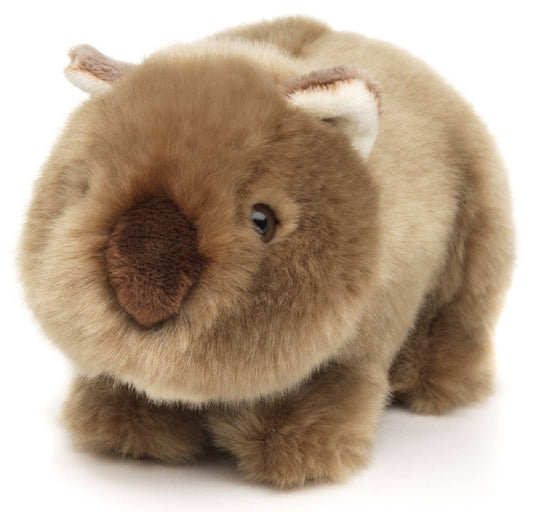 Pluche wombat