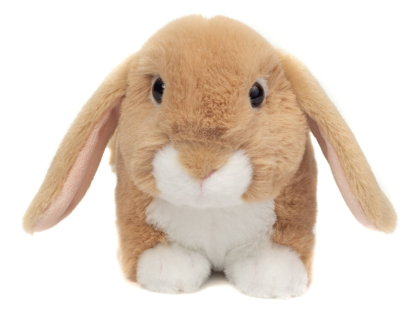 Peluche Lapin bélier beige