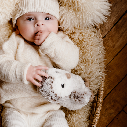 Warmies Uil Pluche Warmwaterkruik