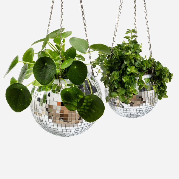 Disco Ball Planter 15cm
