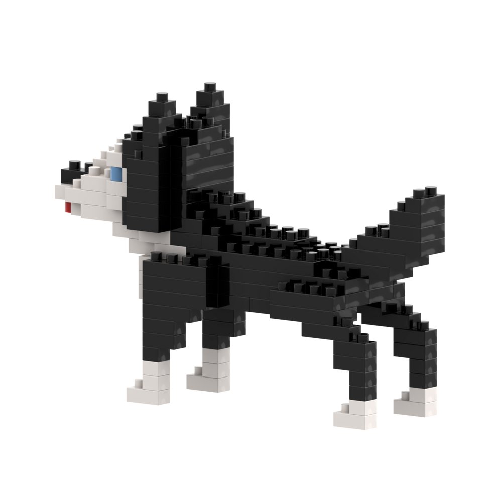 BRIXIES Husky